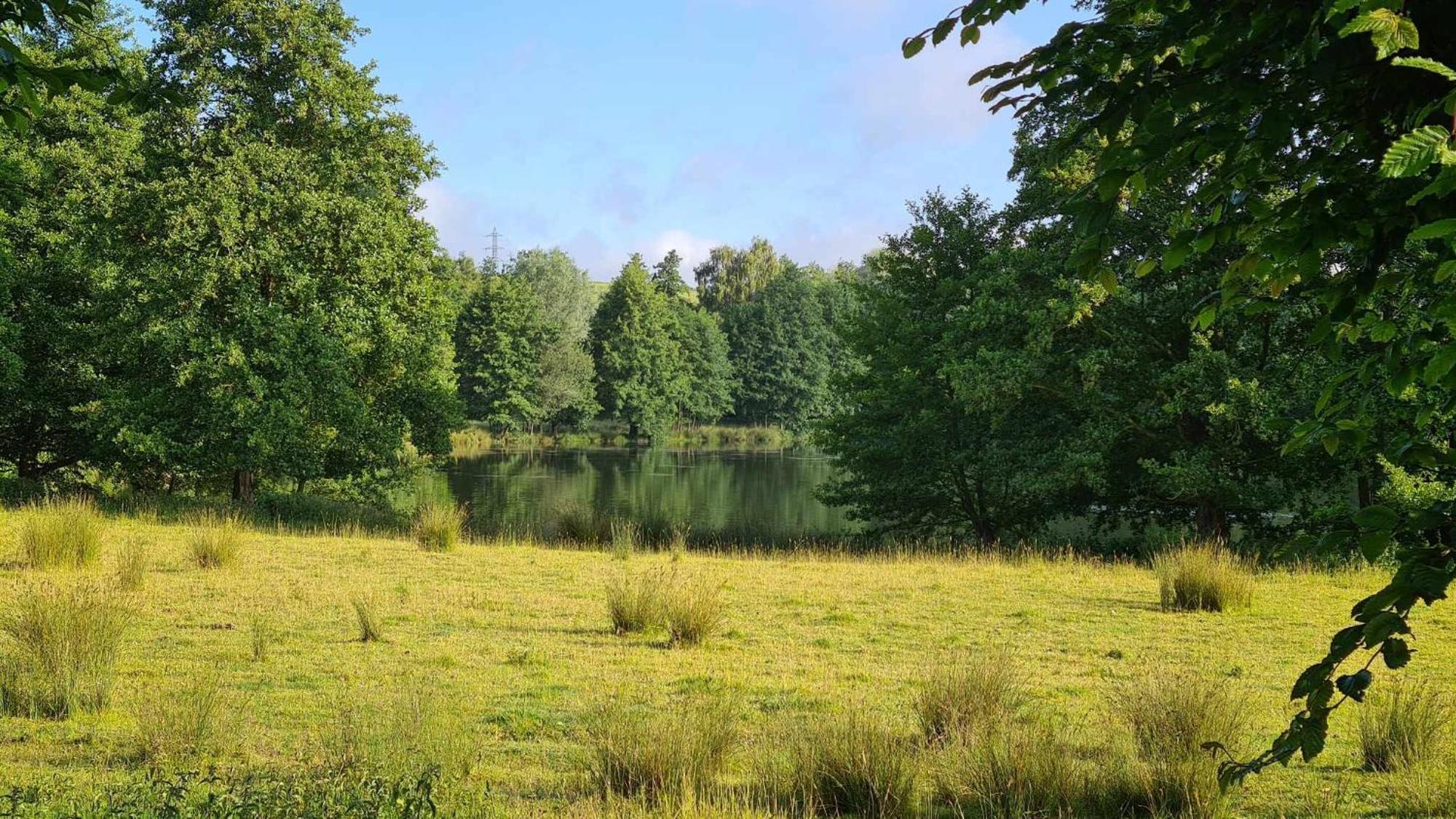 Les Gites De La Renardiere Gueures Luaran gambar