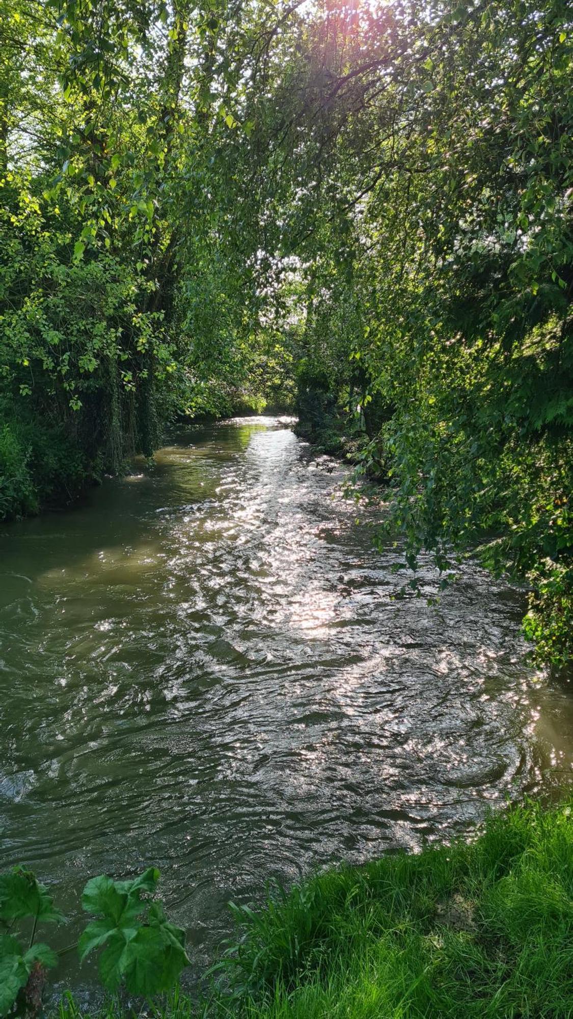 Les Gites De La Renardiere Gueures Luaran gambar